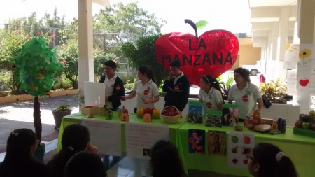 El proyecto de la manzana...
